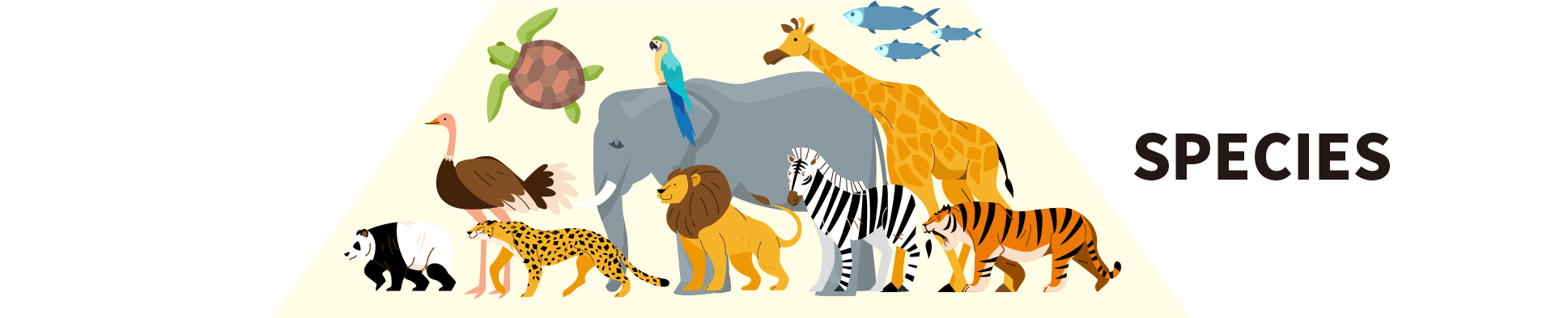 Species