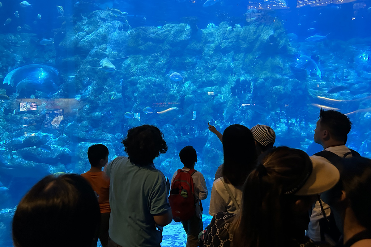 海洋奇觀水族館