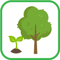 Planting, Afforestation
